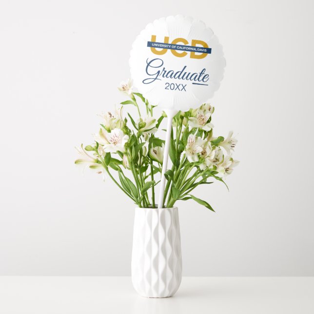 UCD Wordmark | Graduation Balloon (Vase)