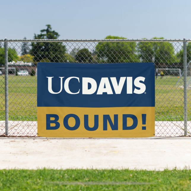 UCDAVIS | Graduation Banner (Insitu)