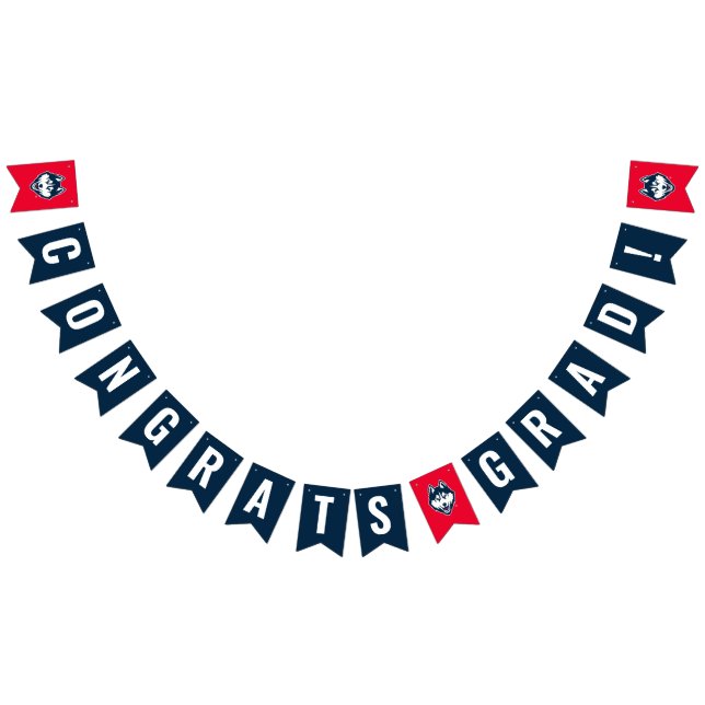UConn Graduate Bunting Flags (All)