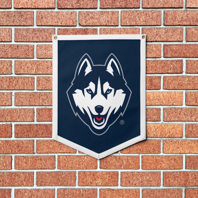 UConn Huskies Pennant (Insitu 1)