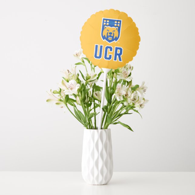UCR Scotty Bear Mascot Shield Balloon (Vase)