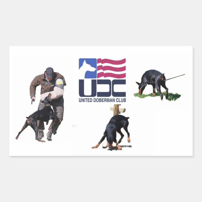 UDC IPO Sticker (Front)