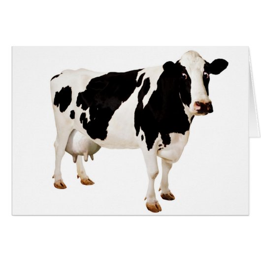 Udder Nonsense Cards (Front Horizontal)