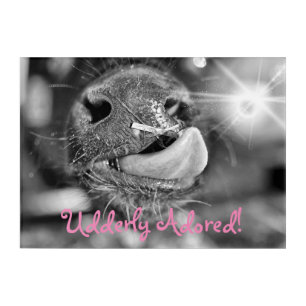 Udderly Adored! Cow Lick Nursery Acrylic Print