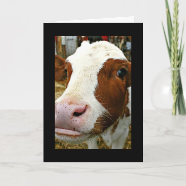 Udderly Cool Uncle Father's Day With Cow Card (Front)