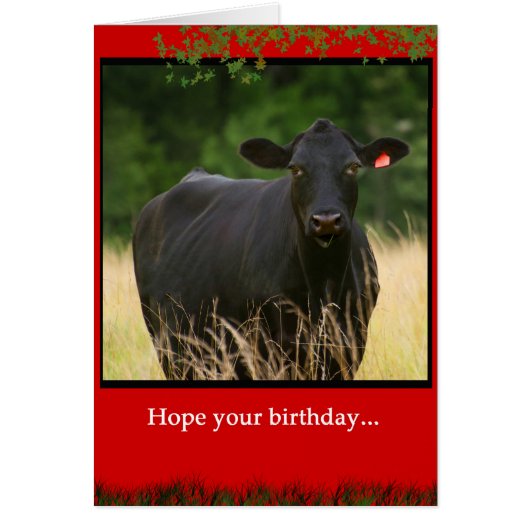 Udderly Fantastic Cards (Front)