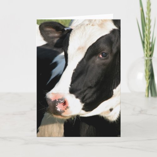 Udderly Happy Birthday Card