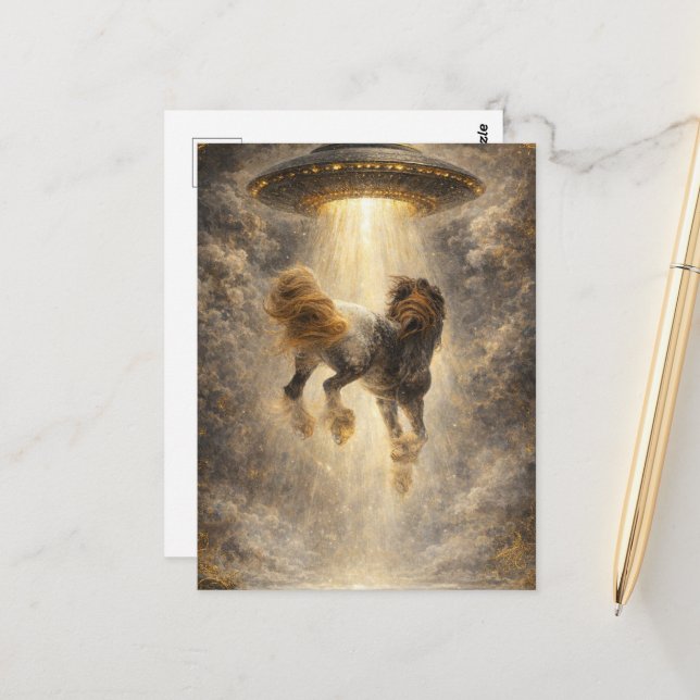 UFO Abduction of a Gorgeous Gypsy Vanner Horse Postcard (Front/Back In Situ)