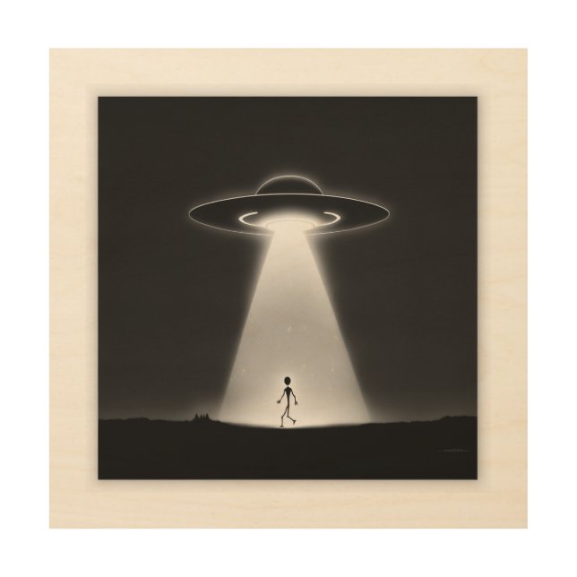 UFO Alien Abduction  Wood Wall Art (Front)