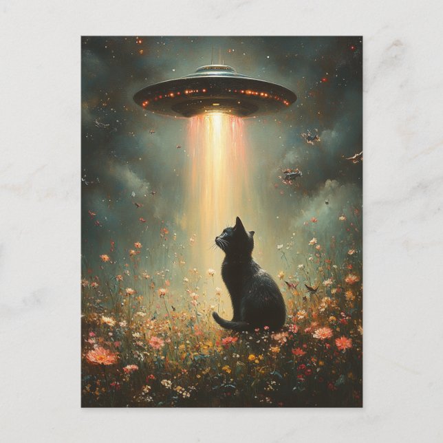 Ufo and a Black Cat Postcard (Front)