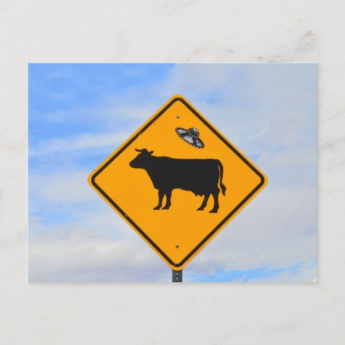 UFO Cattle Crossing Sign in New Mexico Postcard