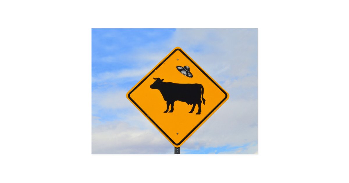 Ufo Cattle Crossing Sign In New Mexico Postcard Zazzle Com