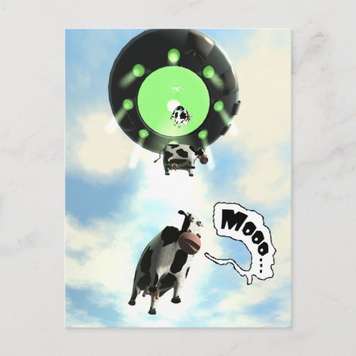 UFO Cow Abduction Postcard