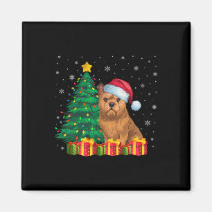 Ugly Brussels Griffon Santa Hat Christmas Lights D Magnet