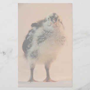 Ugly Chick Stationery