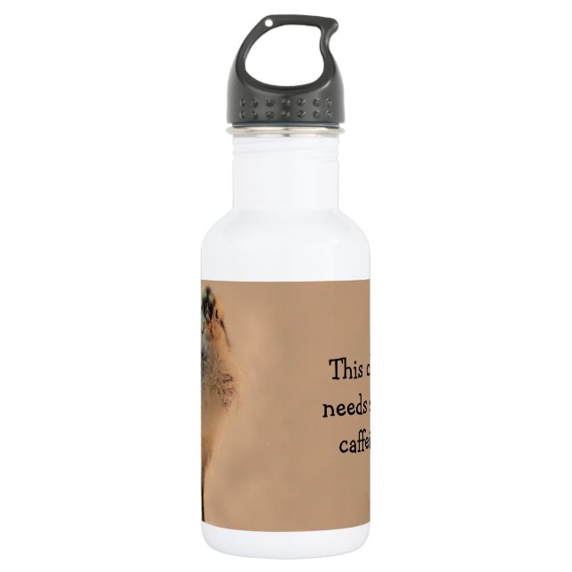 Ugly Chick Water Bottle (Front)