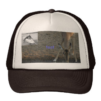 Ugly Hats and Ugly Trucker Hat Designs