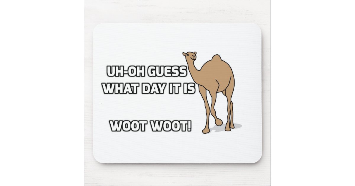 hump day woot woot
