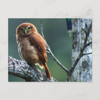 uil postcard