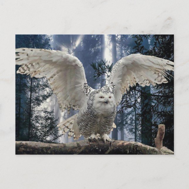 uil postcard (Front)