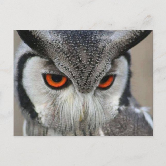 uilen postcard (Front)