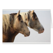 Uinta Desert Wild Horses (Front Horizontal)