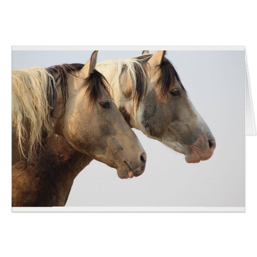 Uinta Desert Wild Horses Cards (Front Horizontal)