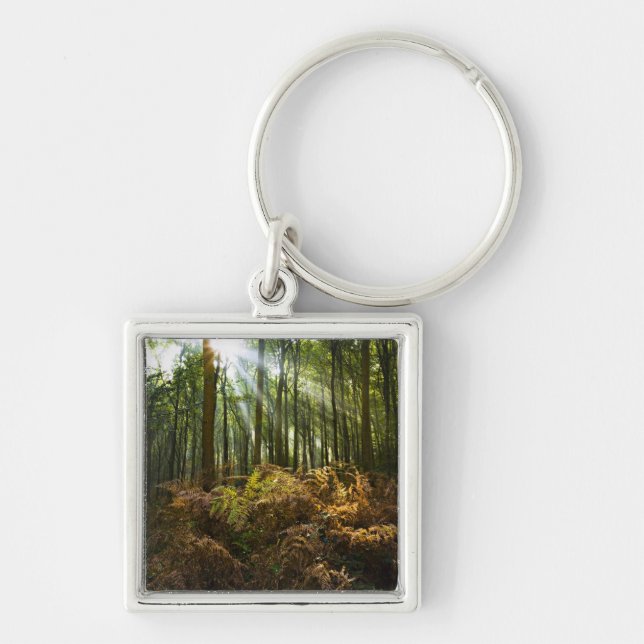 UK, England. Rays of sunlight streaming through Keychain (Front)