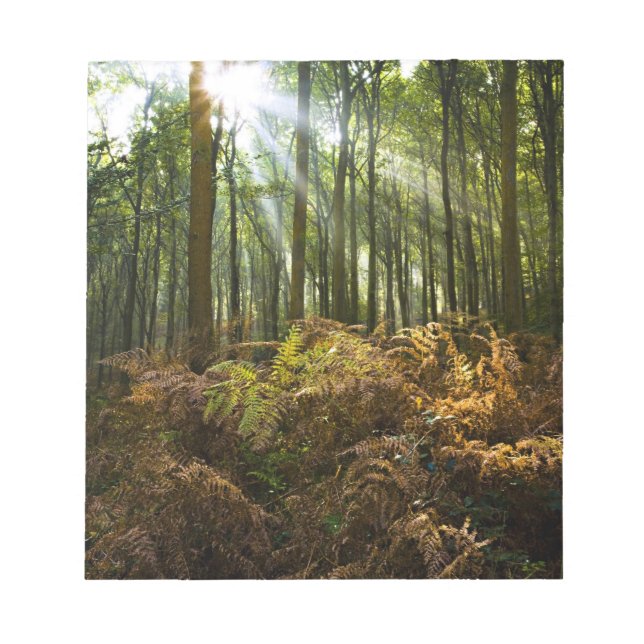 UK, England. Rays of sunlight streaming through Notepad (Front)