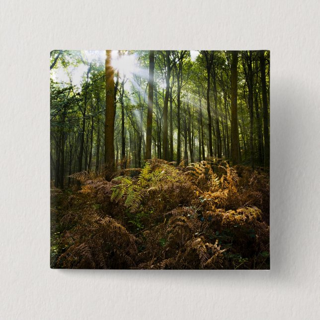 UK, England. Rays of sunlight streaming through Pinback Button (Front)