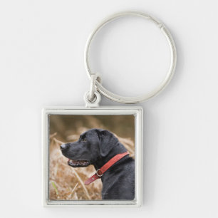 UK, England, Suffolk, Thetford Forest, Black 3 Keychain