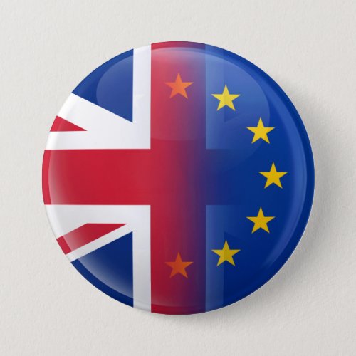 UK  EU membership referendum 2016 Pinback Button