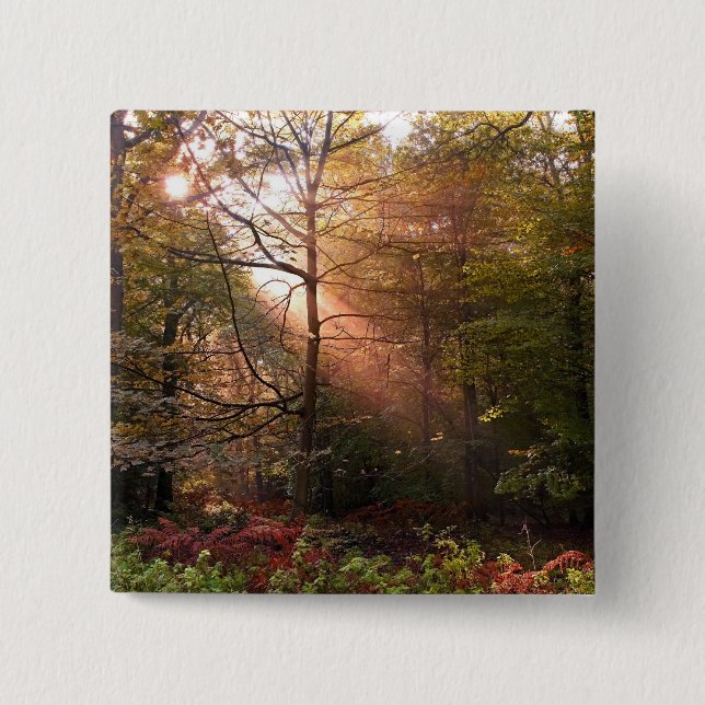UK. Forest of Dean. Sunbeam penetrating a Pinback Button (Front)