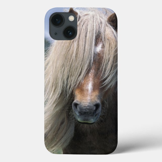 UK, Scotland, Shetland Islands, Shetland pony Case-Mate iPhone Case (Back)