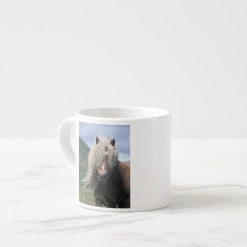 UK Scotland Shetland Islands Shetland pony Espresso Cup