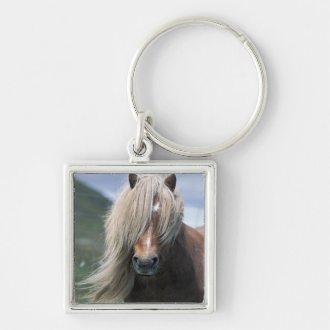 UK, Scotland, Shetland Islands, Shetland pony Keychain (Front)