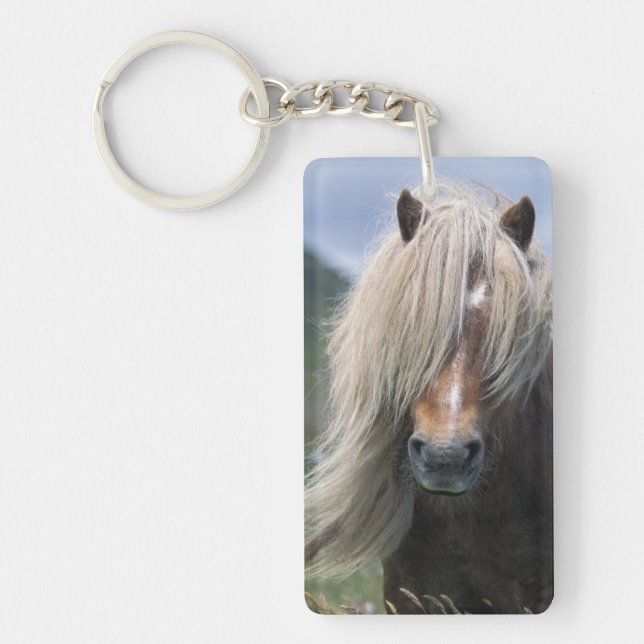 UK, Scotland, Shetland Islands, Shetland pony Keychain (Front)