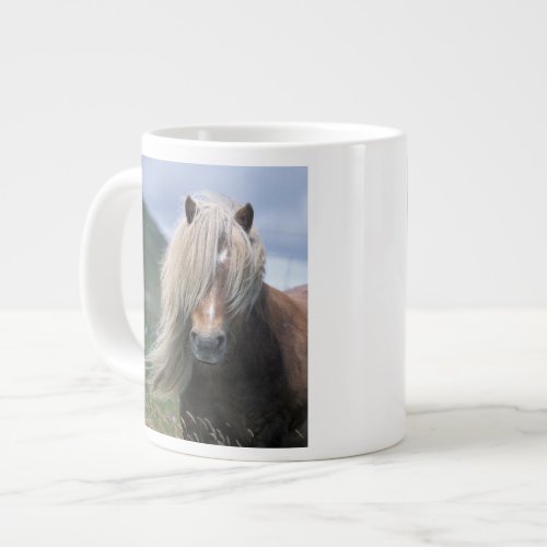 UK Scotland Shetland Islands Shetland pony Large Coffee Mug