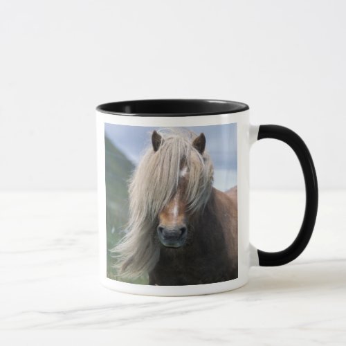 UK Scotland Shetland Islands Shetland pony Mug