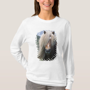 UK, Scotland, Shetland Islands, Shetland pony T-Shirt