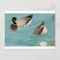 Ukiyoe [Goyo] Ducks Postcard