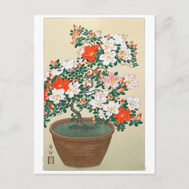 Ukiyoe [Koson] Azalea in Pot  Postcard (Front)