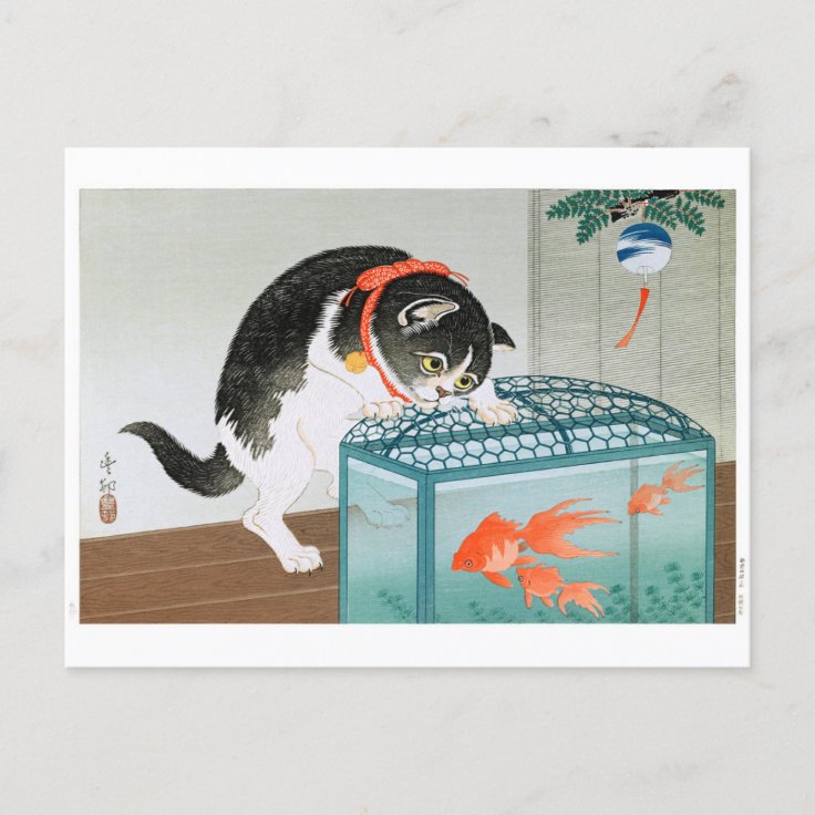 Ukiyoe [Koson] Cat and Goldfish  Postcard