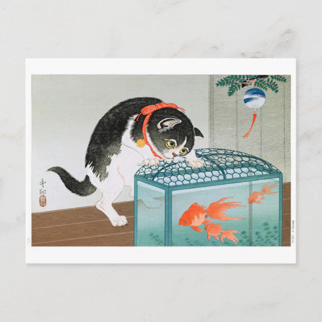 Ukiyoe [Koson] Cat and Goldfish  Postcard (Front)