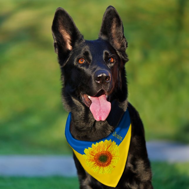 Ukraine Dog Bandana, BG, Sunflower, Ukrainian Flag Pet Bandana Collar (Dog)