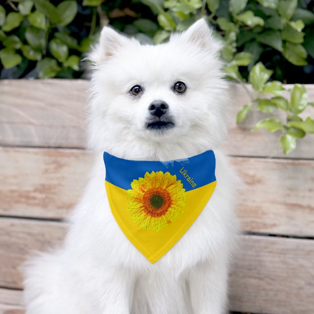 Ukraine Dog Bandana, Sunflower, Ukrainian Flag Pet Bandana Collar (Dog)