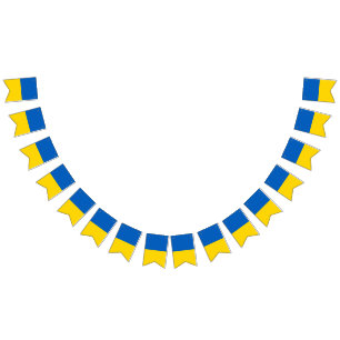 Ukraine Flag