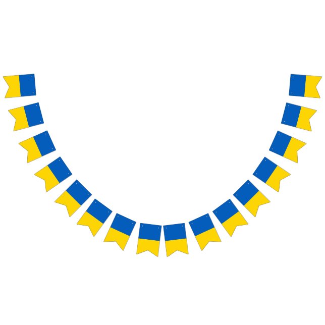 Ukraine Flag (All)