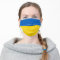 Ukraine Flag Cloth Face Mask