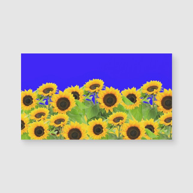 Ukraine Flag Colors Sunflowers Magnet (Front)